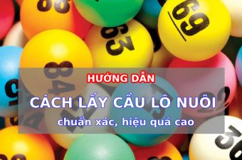 Hướng dẫn cách lấy cầu lô chuẩn xác, hiệu quả