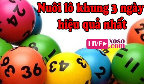 Tổng hợp nuôi lô khung 3 ngày hiệu quả, chuẩn xác nhất